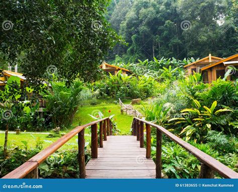 Amazing nature resort .